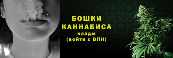 бошки Вязьма