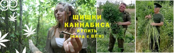 jwh Вяземский