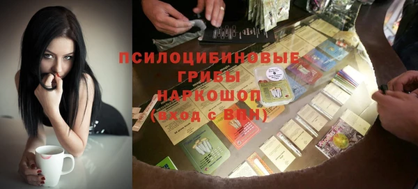 spice Горнозаводск